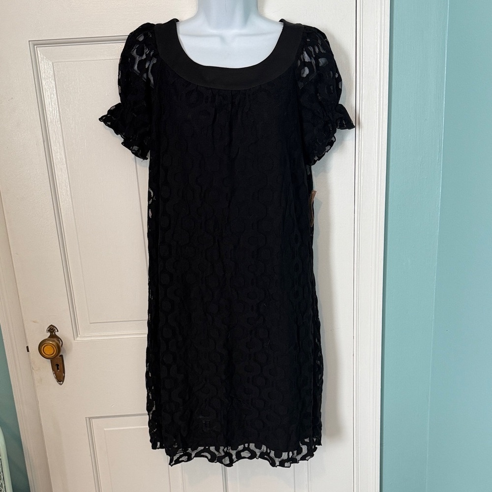 Elegant Black Lace Dress